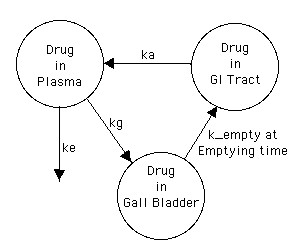 Scheme for Enterohepatic Recycling