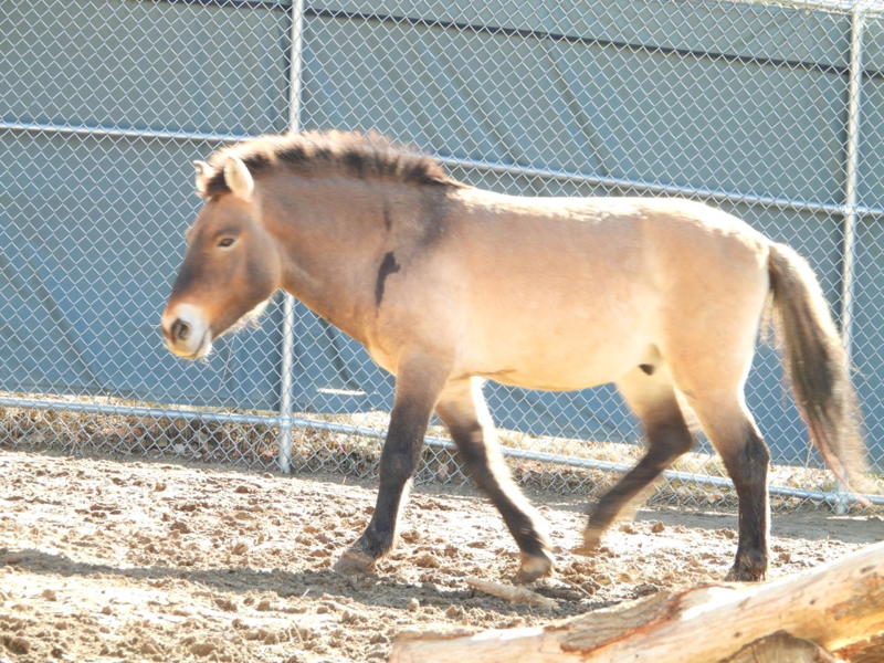 dscn3064.jpg